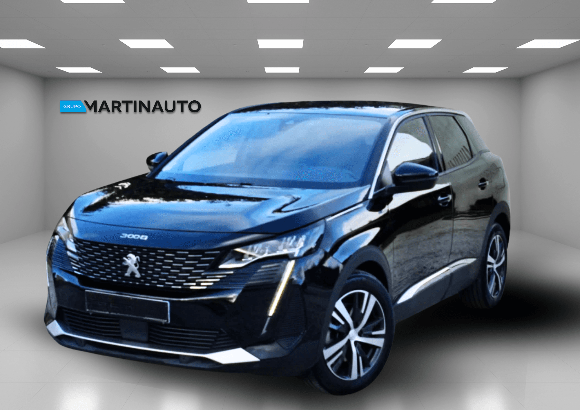 Miniatura 19
