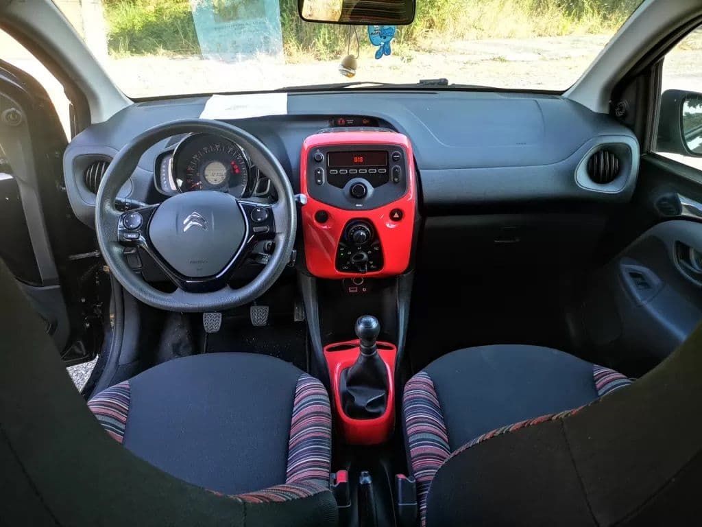 Miniatura 12