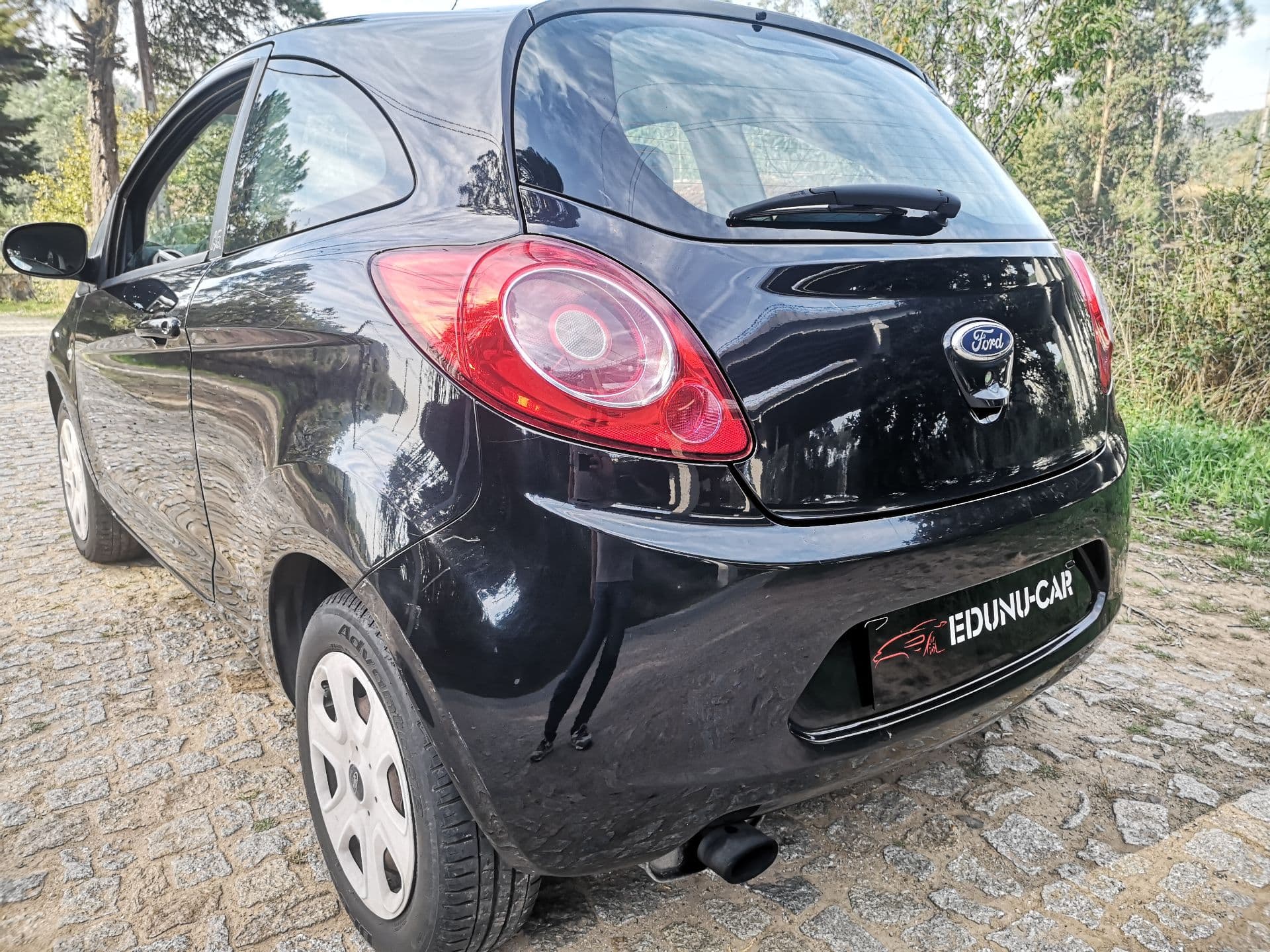 Miniatura 8