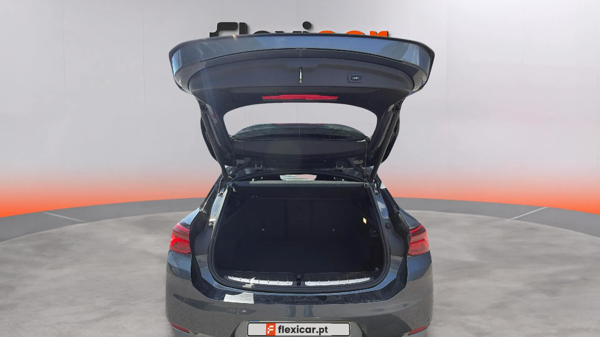 Miniatura 17